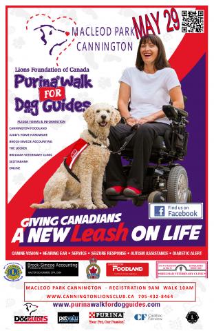 dogwalkposter.jpg